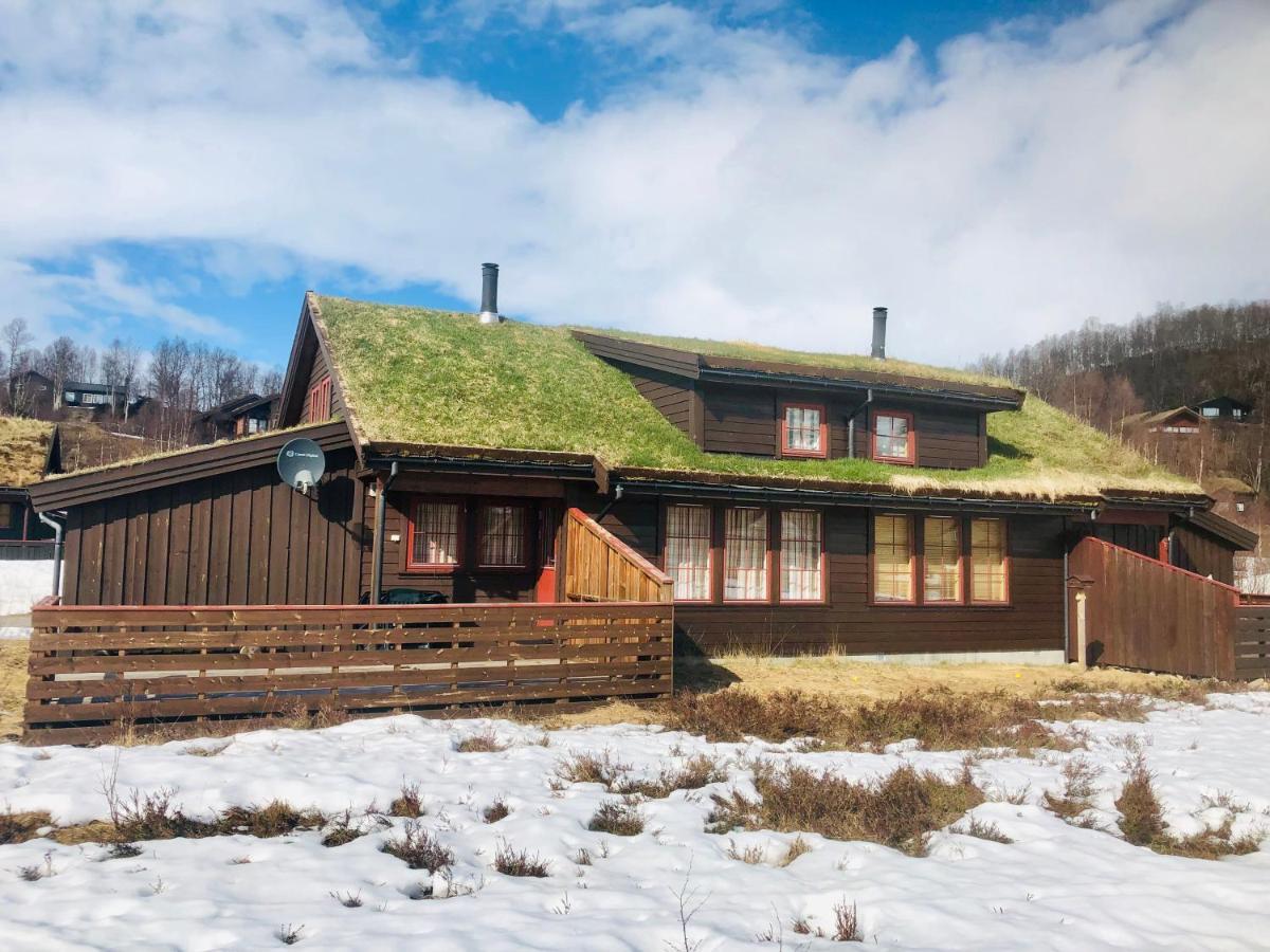 Four-Bedroom Cottage In Sirdal Tjorhom Buitenkant foto